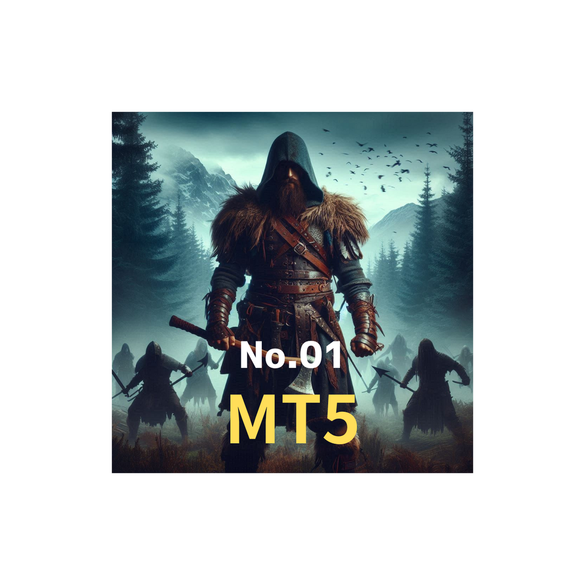 NinjaPlatform_MT5Acc01