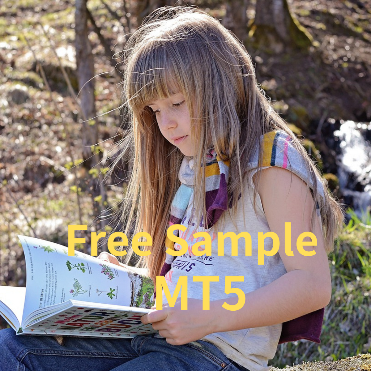 NinjaPlatform_MT5_Samle