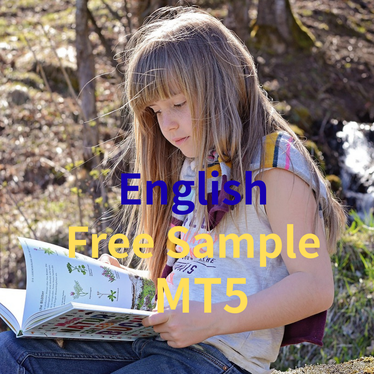 MT5 Free trail version
